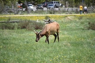 Filename=DSC_7143.JPG
Filesize=20681KiB
Dimensions=7360x4912
Date added=Sep 19, 2019 DSC_7143.JPG