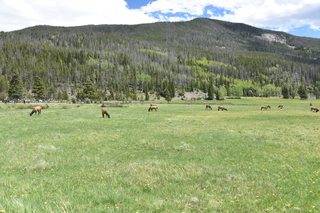 Filename=DSC_7144.JPG
Filesize=27248KiB
Dimensions=7360x4912
Date added=Sep 19, 2019 DSC_7144.JPG