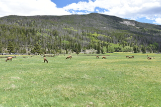 Filename=DSC_7145.JPG
Filesize=26342KiB
Dimensions=7360x4912
Date added=Sep 19, 2019 DSC_7145.JPG