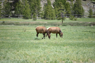 Filename=DSC_7148.JPG
Filesize=19789KiB
Dimensions=7360x4912
Date added=Sep 19, 2019 DSC_7148.JPG