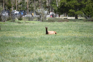 Filename=DSC_7150.JPG
Filesize=19931KiB
Dimensions=7360x4912
Date added=Sep 19, 2019 DSC_7150.JPG