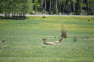 Filename=DSC_7151.JPG
Filesize=19620KiB
Dimensions=7360x4912
Date added=Sep 19, 2019 DSC_7151.JPG