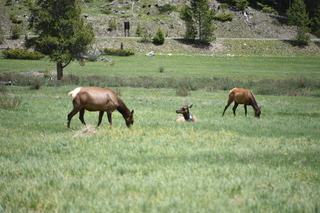 Filename=DSC_7152.JPG
Filesize=19535KiB
Dimensions=7360x4912
Date added=Sep 19, 2019 DSC_7152.JPG