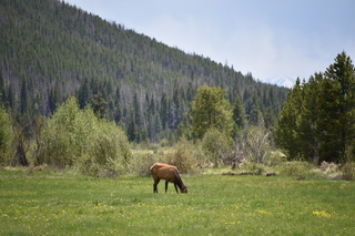 Filename=DSC_7154.JPG
Filesize=19417KiB
Dimensions=7360x4912
Date added=Sep 19, 2019 DSC_7154.JPG