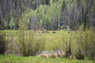 Filename=DSC_7155.JPG
Filesize=19778KiB
Dimensions=7360x4912
Date added=Sep 19, 2019 DSC_7155.JPG