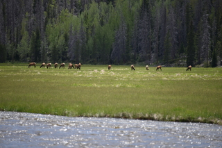 Filename=DSC_7156.JPG
Filesize=17691KiB
Dimensions=7360x4912
Date added=Sep 19, 2019 DSC_7156.JPG