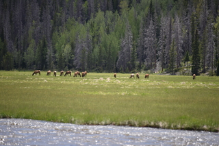 Filename=DSC_7159.JPG
Filesize=18341KiB
Dimensions=7360x4912
Date added=Sep 19, 2019 DSC_7159.JPG