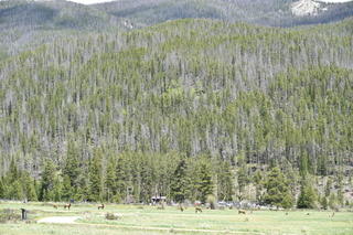 Filename=DSC_7168.JPG
Filesize=28215KiB
Dimensions=7360x4912
Date added=Sep 19, 2019 DSC_7168.JPG