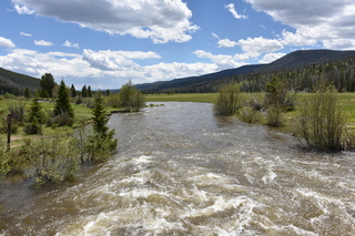 Filename=DSC_7169.JPG
Filesize=25648KiB
Dimensions=7360x4912
Date added=Sep 19, 2019 DSC_7169.JPG