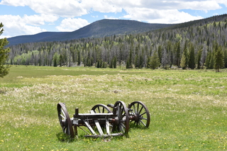 Filename=DSC_7172.JPG
Filesize=24553KiB
Dimensions=7360x4912
Date added=Sep 19, 2019 DSC_7172.JPG