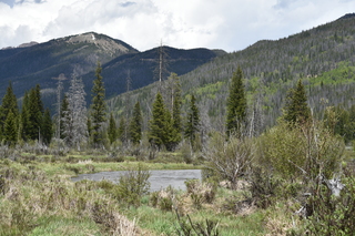 Filename=DSC_7174.JPG
Filesize=25971KiB
Dimensions=7360x4912
Date added=Sep 19, 2019 DSC_7174.JPG