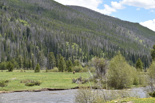 Filename=DSC_7175.JPG
Filesize=25487KiB
Dimensions=7360x4912
Date added=Sep 19, 2019 DSC_7175.JPG