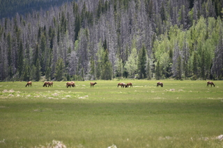 Filename=DSC_7178.JPG
Filesize=19423KiB
Dimensions=7360x4912
Date added=Sep 19, 2019 DSC_7178.JPG