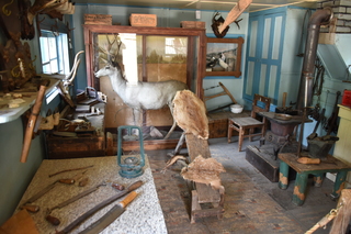 Filename=DSC_7192.JPG
Filesize=17667KiB
Dimensions=7360x4912
Date added=Sep 19, 2019 DSC_7192.JPG