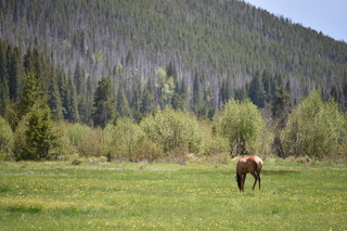 Filename=DSC_7207.JPG
Filesize=20357KiB
Dimensions=7360x4912
Date added=Sep 19, 2019 DSC_7207.JPG