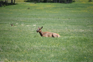 Filename=DSC_7208.JPG
Filesize=19012KiB
Dimensions=7360x4912
Date added=Sep 19, 2019 DSC_7208.JPG