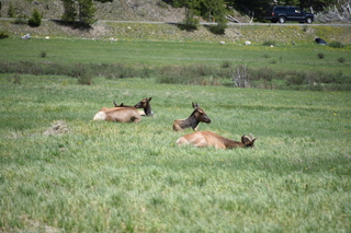 Filename=DSC_7209.JPG
Filesize=19302KiB
Dimensions=7360x4912
Date added=Sep 19, 2019 DSC_7209.JPG