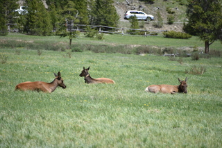 Filename=DSC_7210.JPG
Filesize=19665KiB
Dimensions=7360x4912
Date added=Sep 19, 2019 DSC_7210.JPG