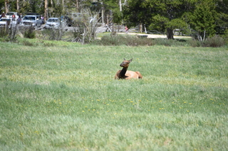 Filename=DSC_7211.JPG
Filesize=19787KiB
Dimensions=7360x4912
Date added=Sep 19, 2019 DSC_7211.JPG