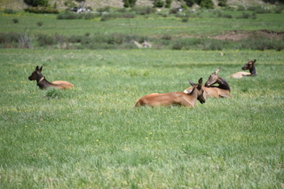 Filename=DSC_7212.JPG
Filesize=19733KiB
Dimensions=7360x4912
Date added=Sep 19, 2019 DSC_7212.JPG