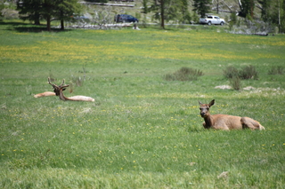 Filename=DSC_7213.JPG
Filesize=19068KiB
Dimensions=7360x4912
Date added=Sep 19, 2019 DSC_7213.JPG