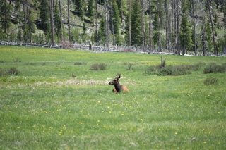 Filename=DSC_7214.JPG
Filesize=19874KiB
Dimensions=7360x4912
Date added=Sep 19, 2019 DSC_7214.JPG