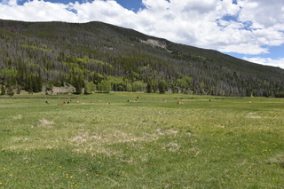 Filename=DSC_7215.JPG
Filesize=25897KiB
Dimensions=7360x4912
Date added=Sep 19, 2019 DSC_7215.JPG