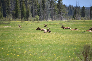 Filename=DSC_7216.JPG
Filesize=19022KiB
Dimensions=7360x4912
Date added=Sep 19, 2019 DSC_7216.JPG