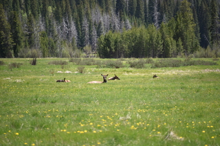 Filename=DSC_7217.JPG
Filesize=18960KiB
Dimensions=7360x4912
Date added=Sep 19, 2019 DSC_7217.JPG