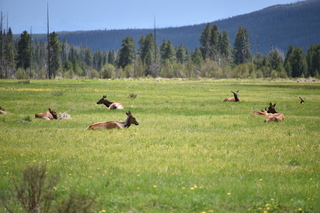 Filename=DSC_7218.JPG
Filesize=18583KiB
Dimensions=7360x4912
Date added=Sep 19, 2019 DSC_7218.JPG