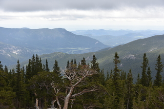 Filename=DSC_7220.JPG
Filesize=17822KiB
Dimensions=7360x4912
Date added=Sep 19, 2019 DSC_7220.JPG