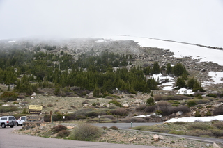 Filename=DSC_7223.JPG
Filesize=19783KiB
Dimensions=7360x4912
Date added=Sep 19, 2019 DSC_7223.JPG