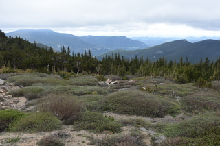 Filename=DSC_7225.JPG
Filesize=22617KiB
Dimensions=7360x4912
Date added=Sep 19, 2019 DSC_7225.JPG