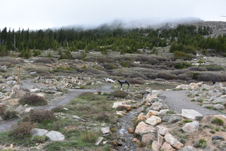 Filename=DSC_7230.JPG
Filesize=23609KiB
Dimensions=7360x4912
Date added=Sep 19, 2019 DSC_7230.JPG