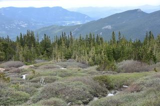 Filename=DSC_7231.JPG
Filesize=23163KiB
Dimensions=7360x4912
Date added=Sep 19, 2019 DSC_7231.JPG