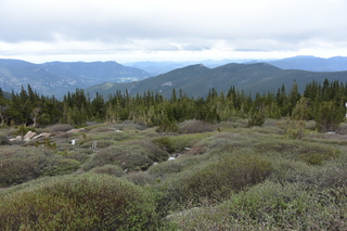 Filename=DSC_7234.JPG
Filesize=22421KiB
Dimensions=7360x4912
Date added=Sep 19, 2019 DSC_7234.JPG