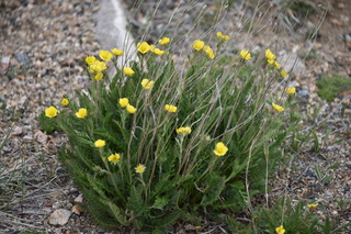 Filename=DSC_7236.JPG
Filesize=19211KiB
Dimensions=7360x4912
Date added=Sep 19, 2019 DSC_7236.JPG