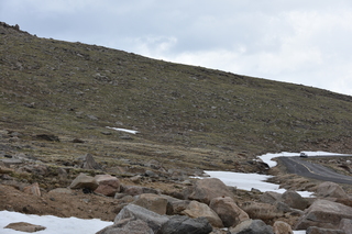 Filename=DSC_7256.JPG
Filesize=20117KiB
Dimensions=7360x4912
Date added=Sep 19, 2019 DSC_7256.JPG