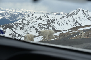 Filename=DSC_7314.JPG
Filesize=15359KiB
Dimensions=7360x4912
Date added=Sep 19, 2019 DSC_7314.JPG