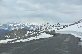 Filename=DSC_7321.JPG
Filesize=15830KiB
Dimensions=7360x4912
Date added=Sep 19, 2019 DSC_7321.JPG