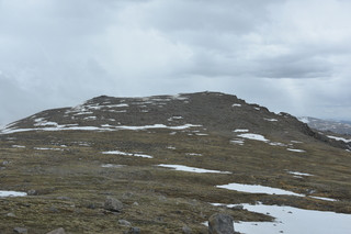 Filename=DSC_7334.JPG
Filesize=18526KiB
Dimensions=7360x4912
Date added=Sep 19, 2019 DSC_7334.JPG