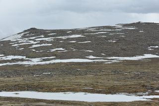 Filename=DSC_7337.JPG
Filesize=19296KiB
Dimensions=7360x4912
Date added=Sep 19, 2019 DSC_7337.JPG