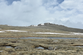 Filename=DSC_7353.JPG
Filesize=19575KiB
Dimensions=7360x4912
Date added=Sep 19, 2019 DSC_7353.JPG