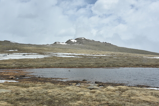 Filename=DSC_7356.JPG
Filesize=19296KiB
Dimensions=7360x4912
Date added=Sep 19, 2019 DSC_7356.JPG