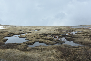 Filename=DSC_7359.JPG
Filesize=17626KiB
Dimensions=7360x4912
Date added=Sep 19, 2019 DSC_7359.JPG