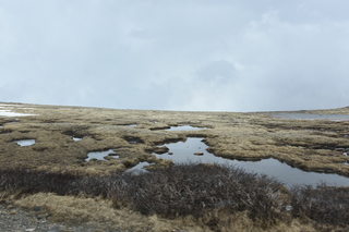 Filename=DSC_7360.JPG
Filesize=17088KiB
Dimensions=7360x4912
Date added=Sep 19, 2019 DSC_7360.JPG