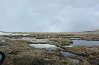 Filename=DSC_7362.JPG
Filesize=16450KiB
Dimensions=7360x4912
Date added=Sep 19, 2019 DSC_7362.JPG