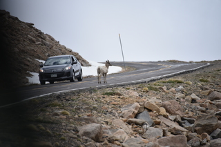 Filename=DSC_7367.JPG
Filesize=15906KiB
Dimensions=7360x4912
Date added=Sep 19, 2019 DSC_7367.JPG