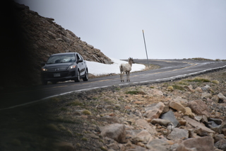 Filename=DSC_7368.JPG
Filesize=15013KiB
Dimensions=7360x4912
Date added=Sep 19, 2019 DSC_7368.JPG