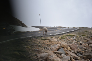 Filename=DSC_7371.JPG
Filesize=15110KiB
Dimensions=7360x4912
Date added=Sep 19, 2019 DSC_7371.JPG